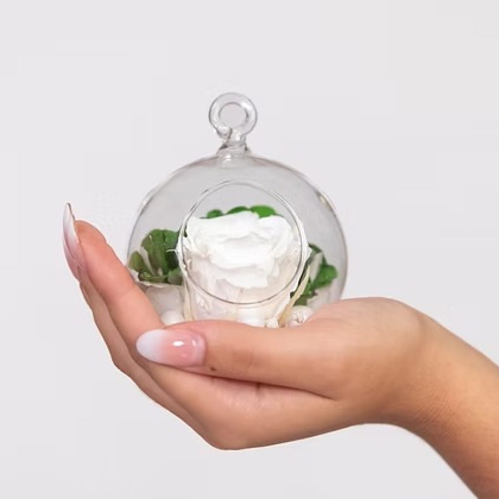 Shop luxury forever roses – timeless elegance that lasts