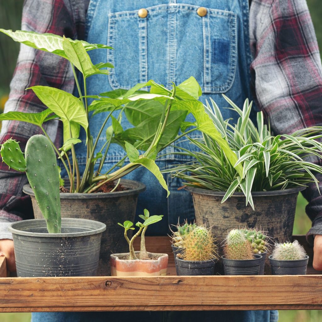 Marketplace for home based food sellers: connect with local customers