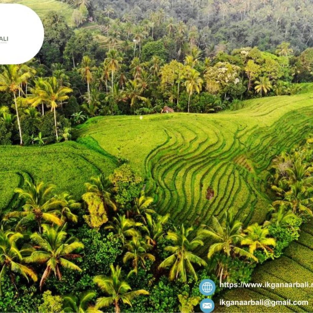 Boek Bali Tour Pakket Online | Ikganaarbali.nl