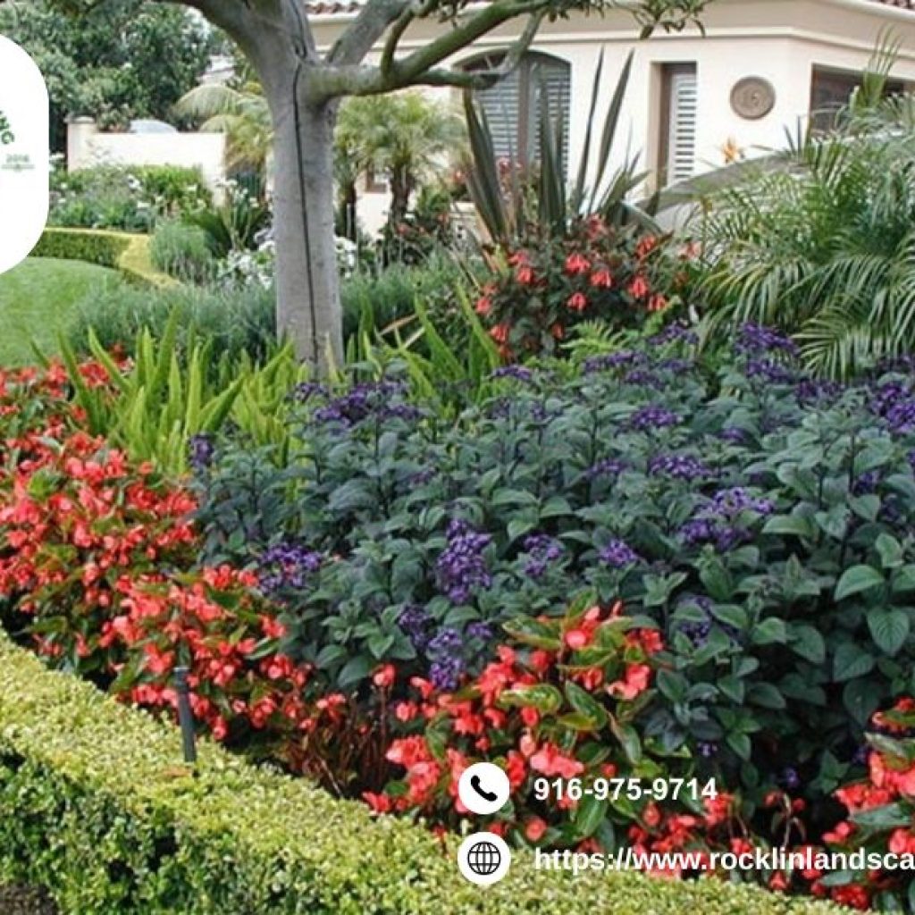 Landscapers Rocklin | Rocklinlandscapingpros.com Landscapers Rocklin | Rocklinlandscapingpros.com