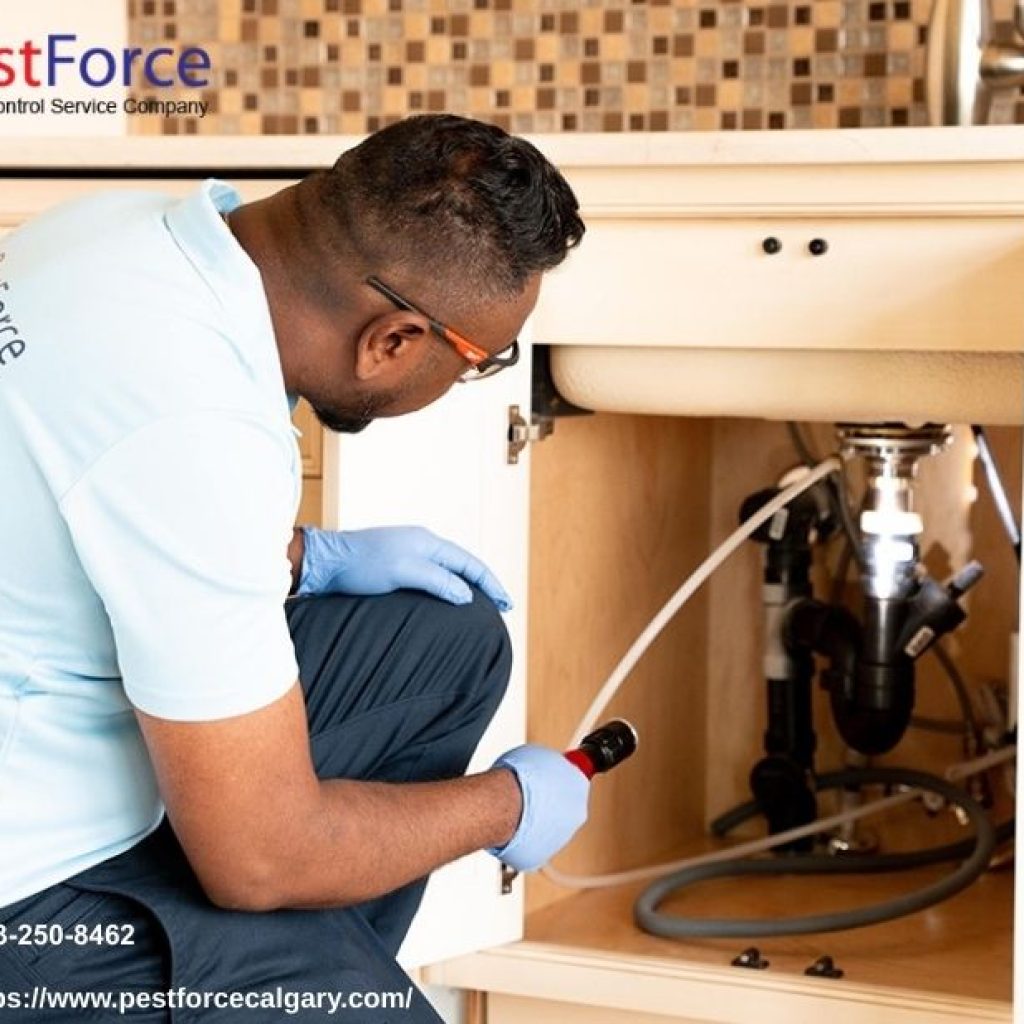 Bed Bug Exterminator | Pestforcecalgary.com Bed Bug Exterminator | Pestforcecalgary.com