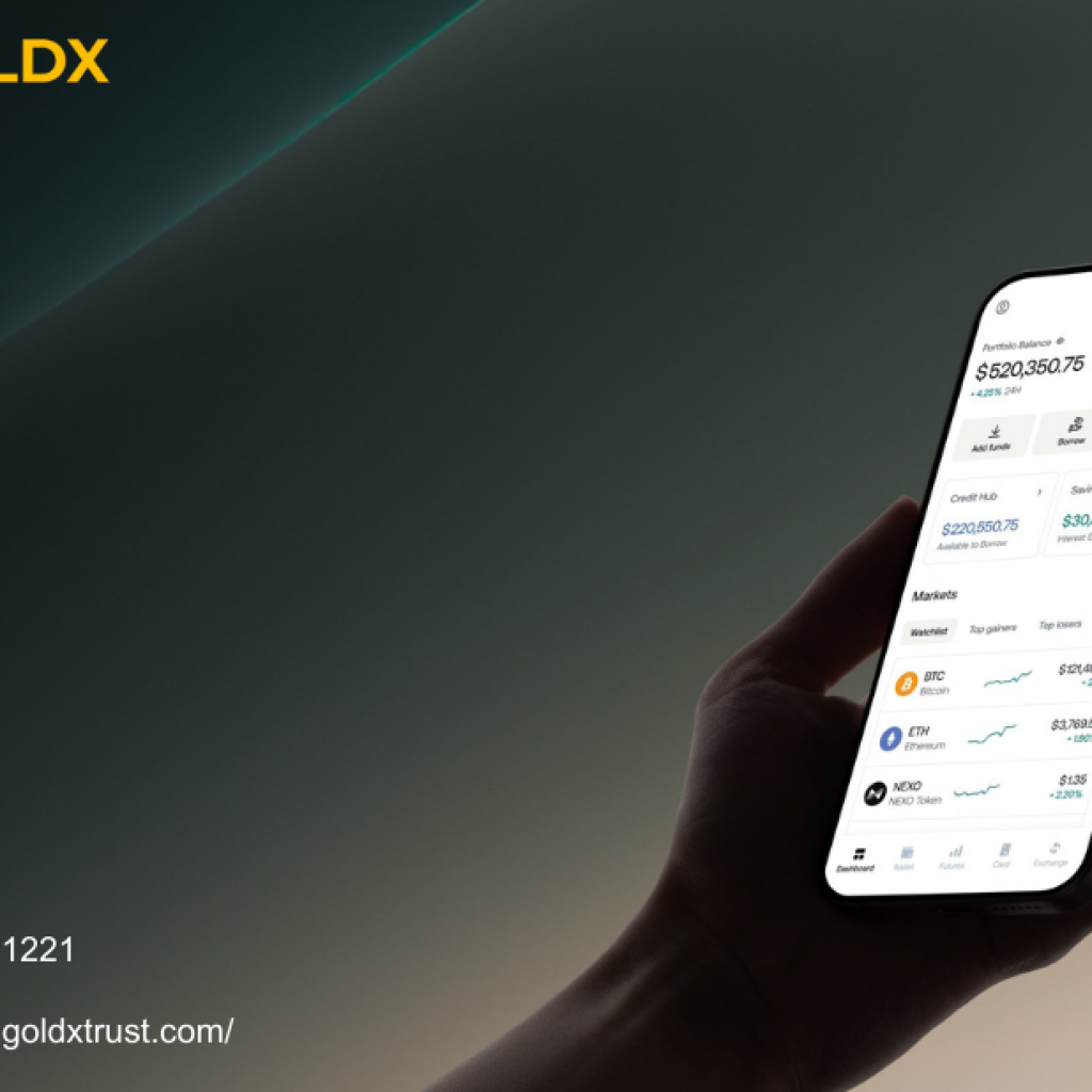 Grow Your Portfolio Confidently with dex crypto trading