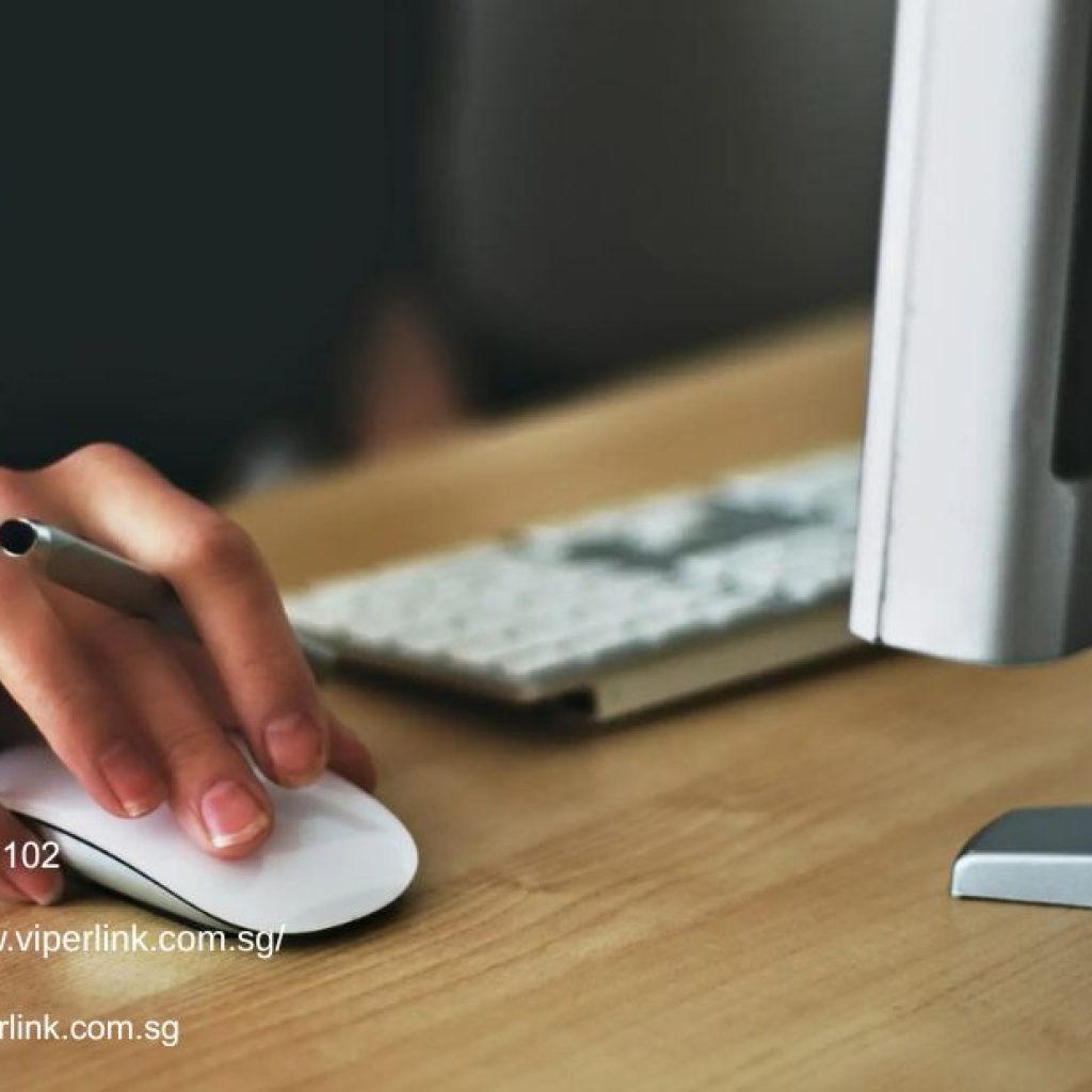 Managed Cybersecurity Services Provider | Viperlink.com.sg​