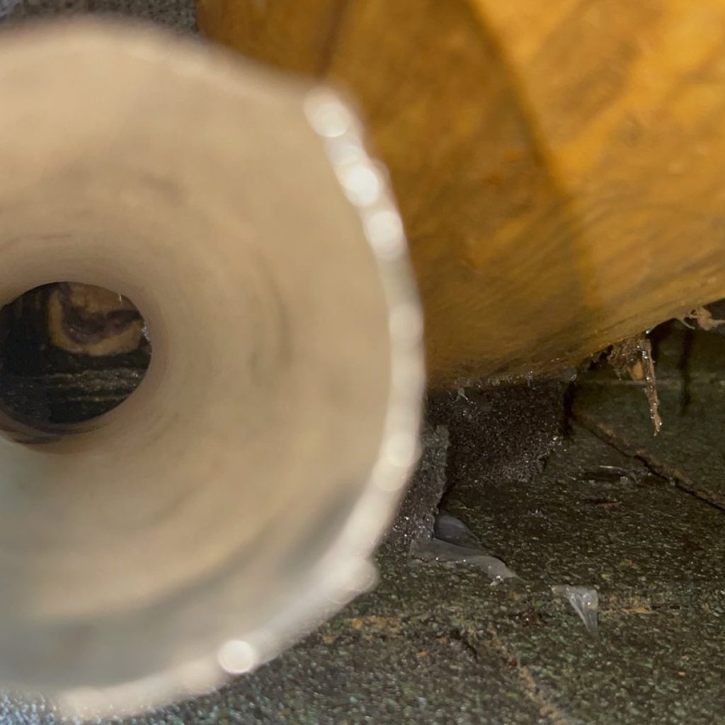 Compassionate wildlife removal for a safe home Compassionate wildlife removal for a safe home