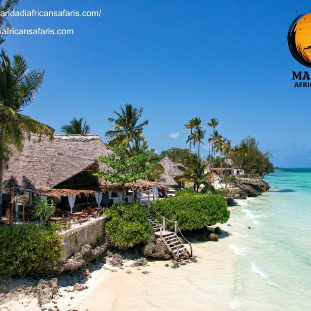Embark on a Curated African Safari from the USA Embark on a Curated African Safari from the USA