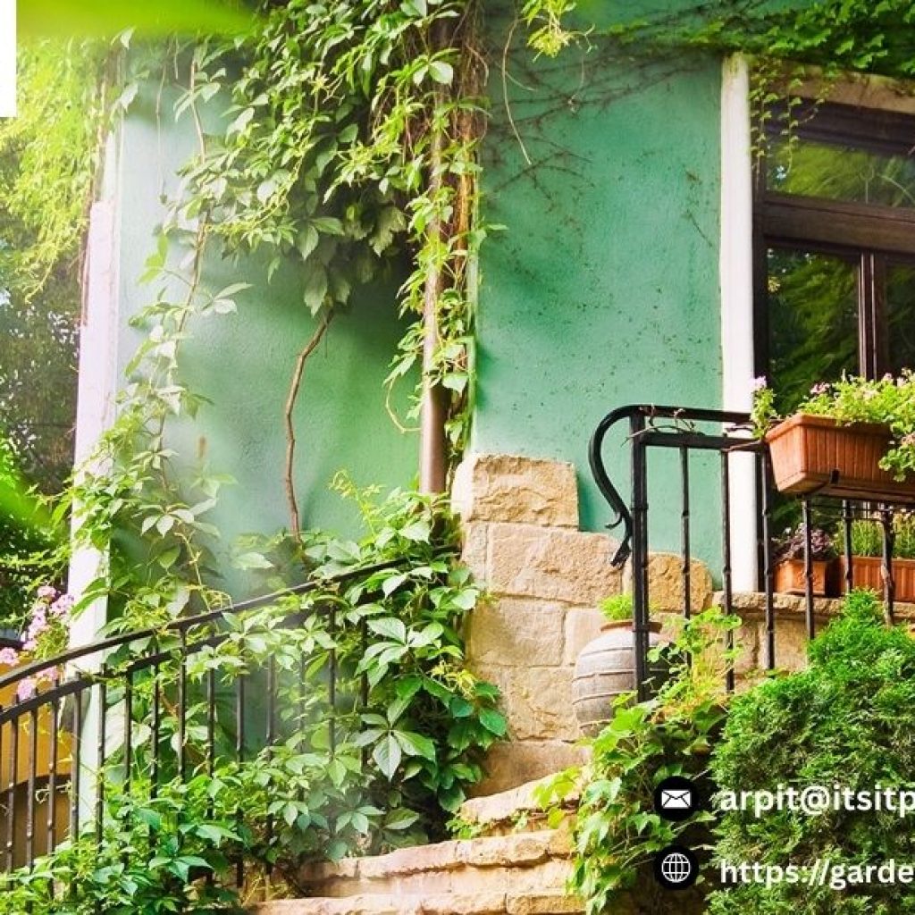 Landscaping Services Auckland | Gardenvisions.co.nz