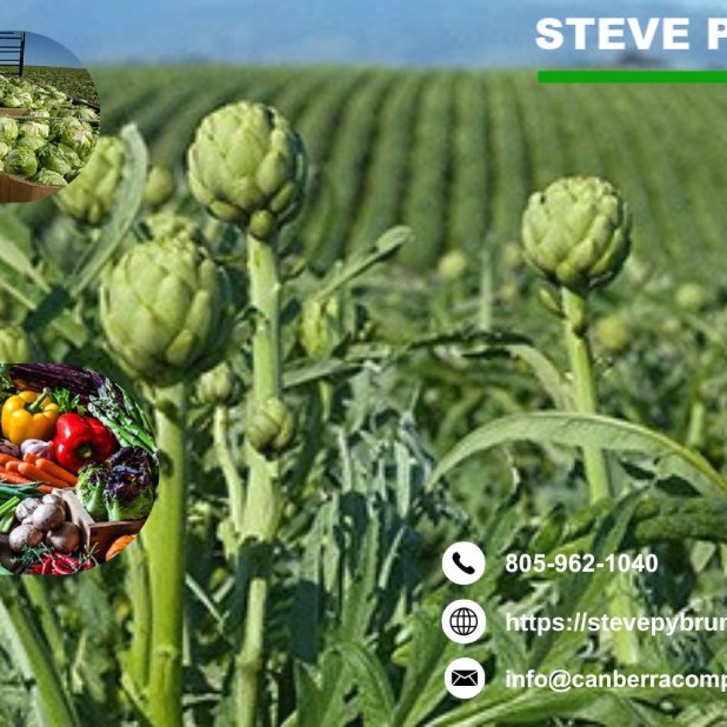 Best Farm Tax CPA in Santa Barbara Specialized Tax Services for Farms