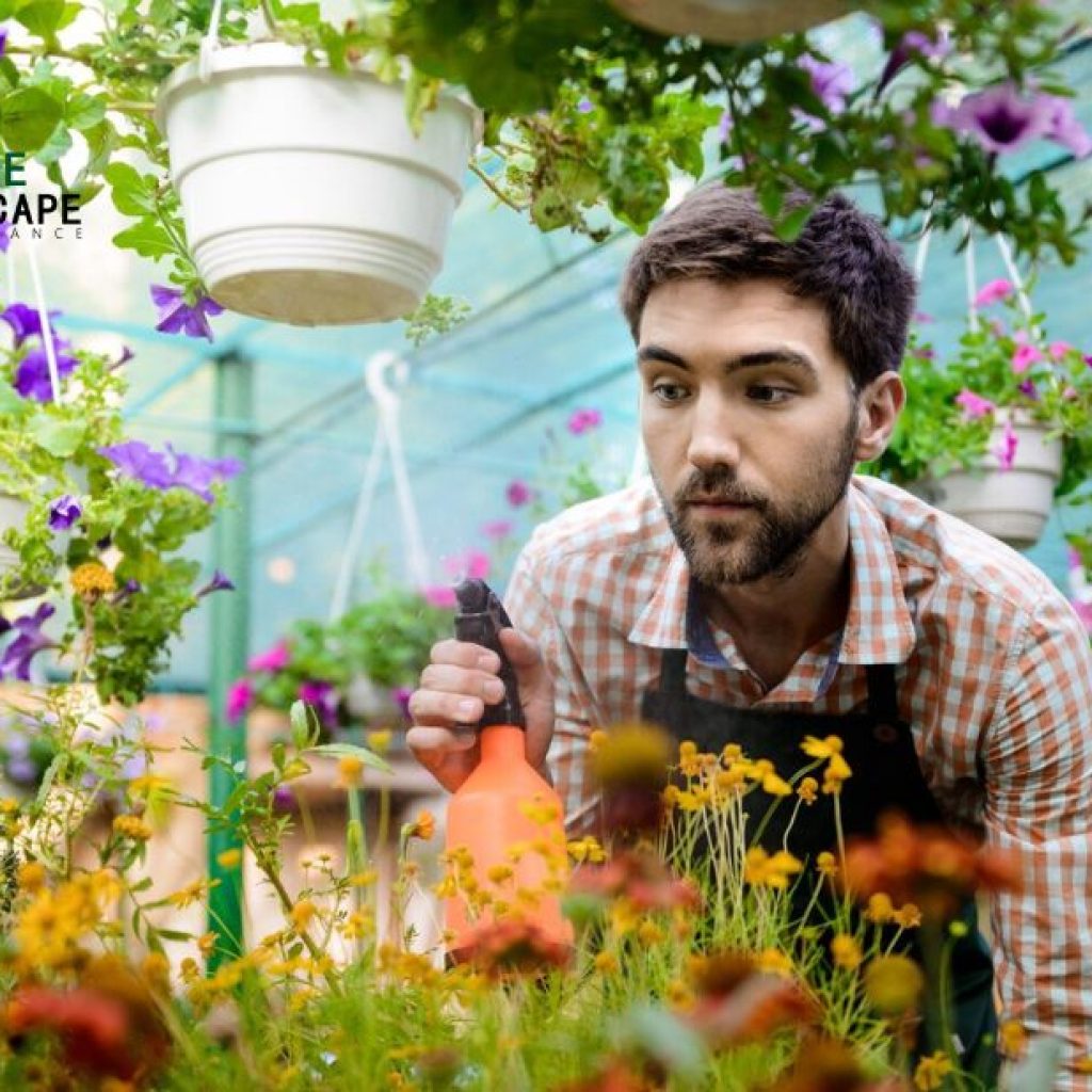Budget-Conscious Garden Care for Sydney Homes Budget-Conscious Garden Care for Sydney Homes