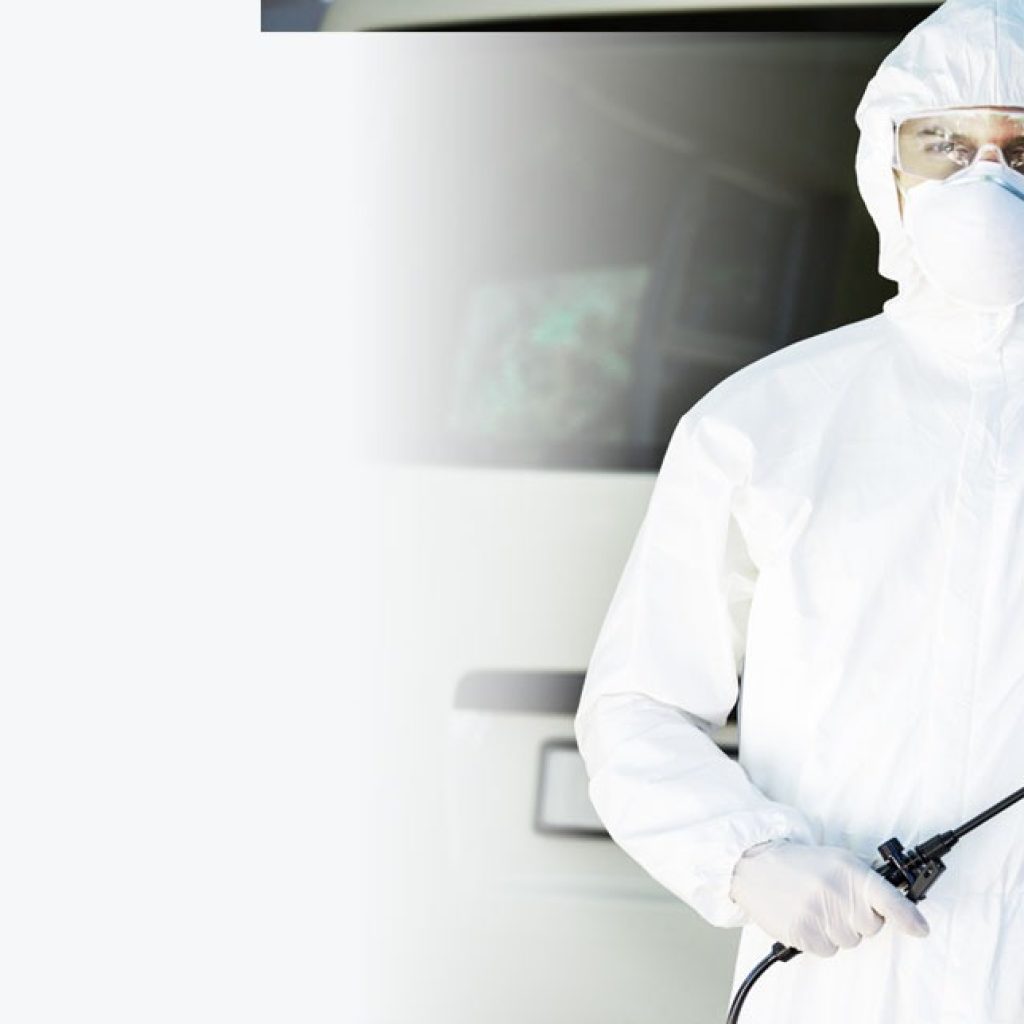 Expert pest management for busy homes in Alberta Expert pest management for busy homes in Alberta