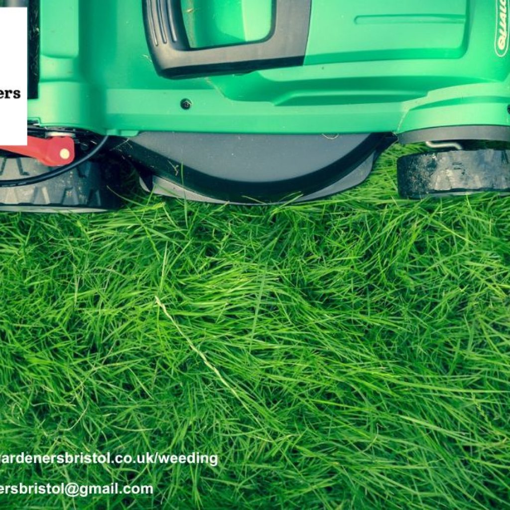 Transform Your Outdoor Space with Expert Bristol Garden Care