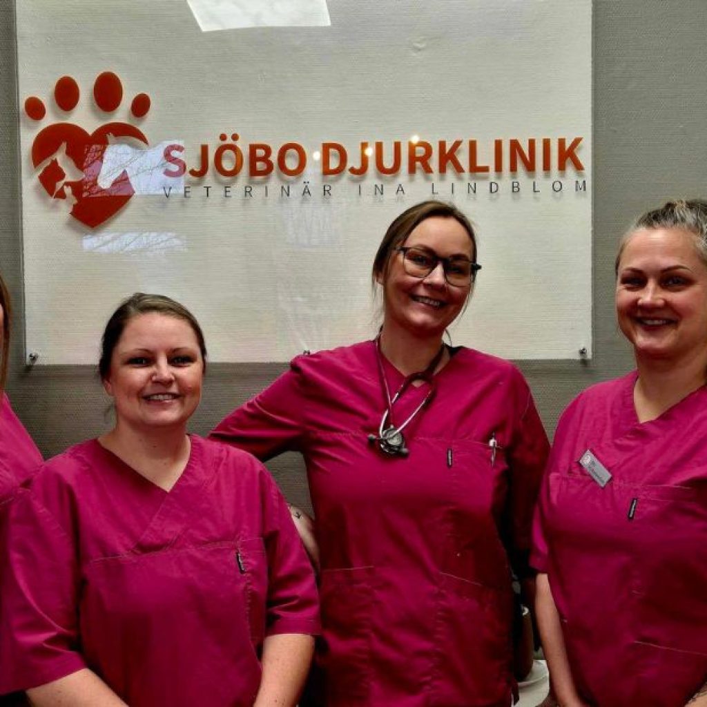 Skydda din hund i Simrishamn med professionella vaccinationstjänster Skydda din hund i Simrishamn med professionella vaccinationstjänster