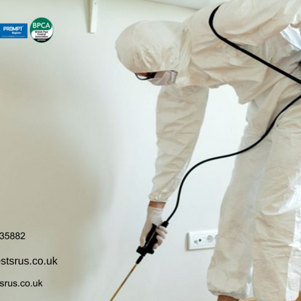Secure Business Premises With Commercial Pigeon Netting Service London