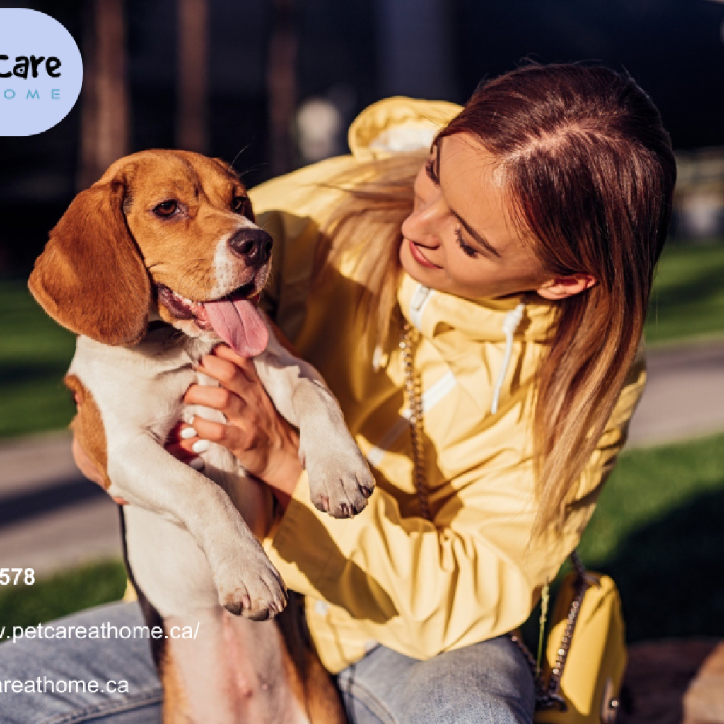 Mobile Vet | Petcareathome.ca Mobile Vet | Petcareathome.ca
