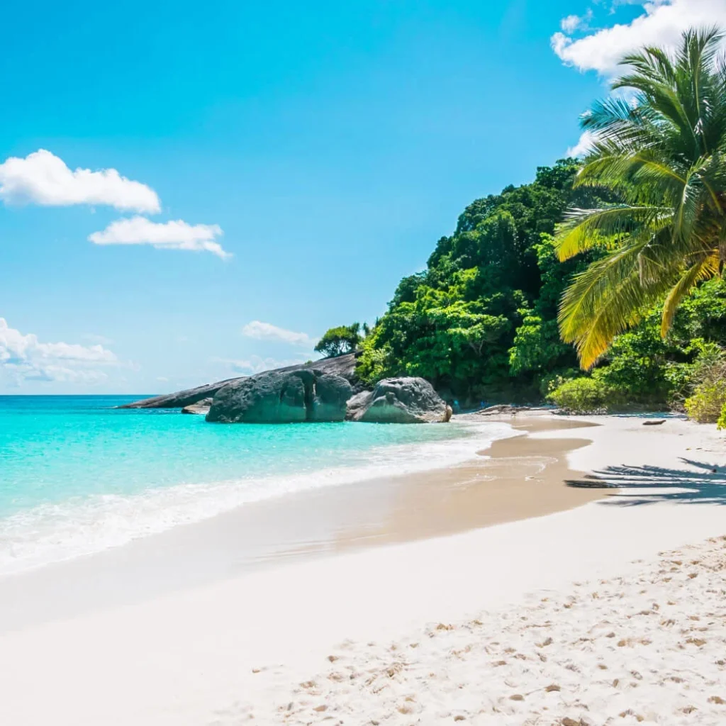 Explore Hawaii by car: reliable rental options at great prices Explore Hawaii by car: reliable rental options at great prices