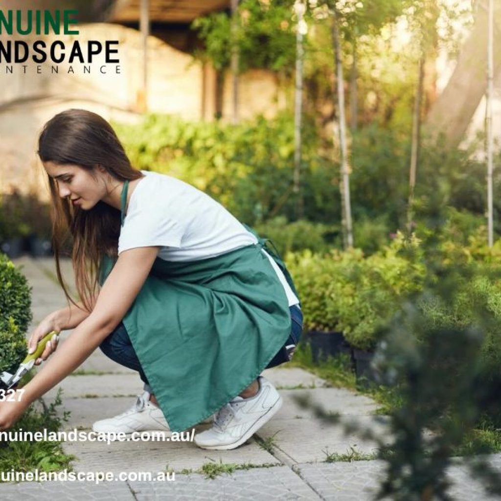 Expert Landscape Maintenance Service Near You