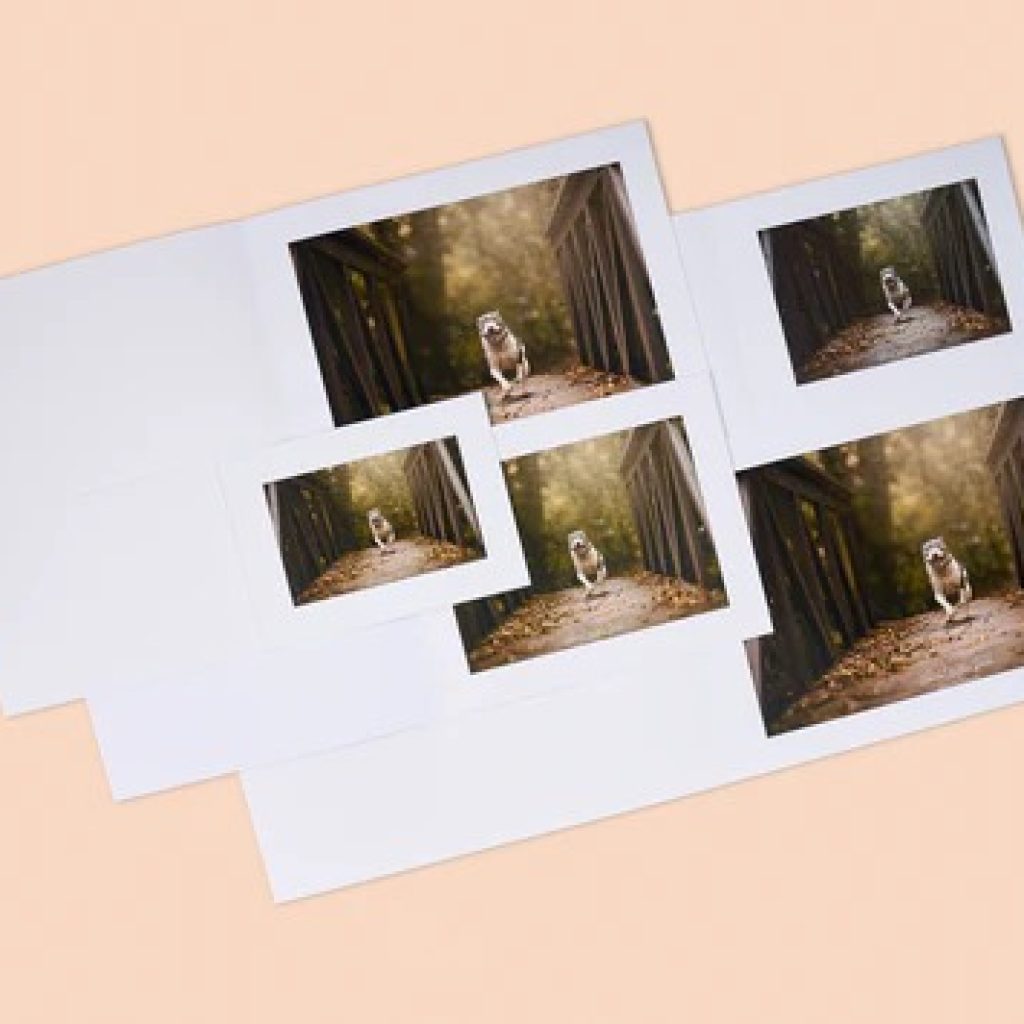 Showcase Your Certificates in Style with a Durable Display Binder