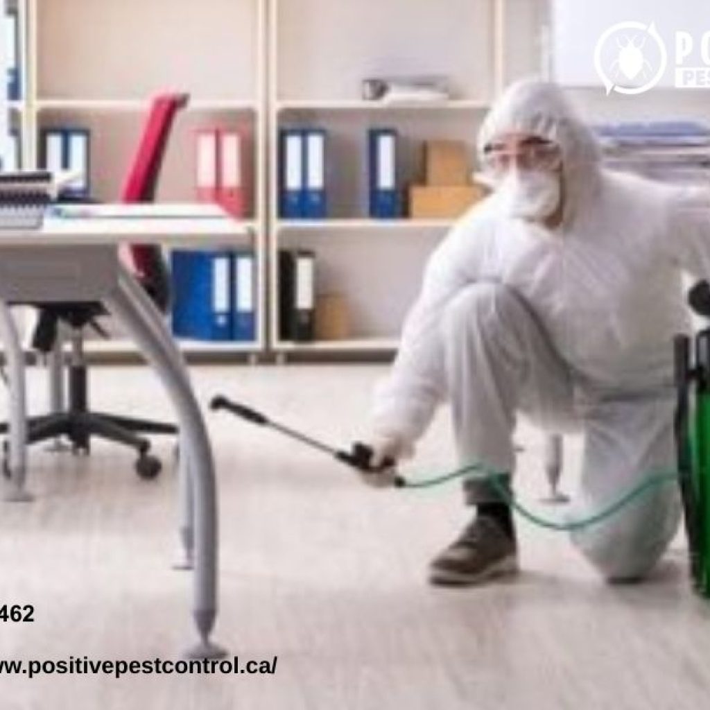 Calgary Bee Removal | Positivepestcontrol.ca Calgary Bee Removal | Positivepestcontrol.ca