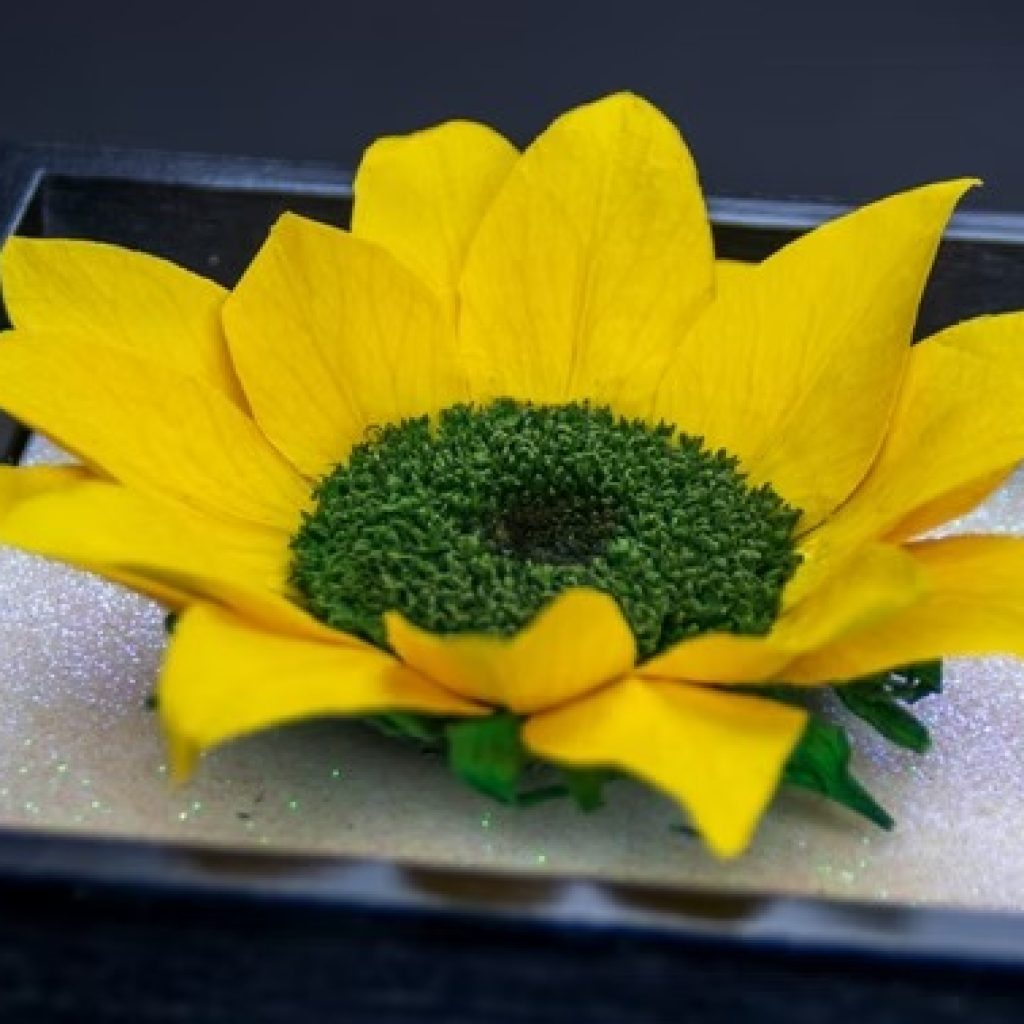 Timeless blooms: preserved roses for every celebration