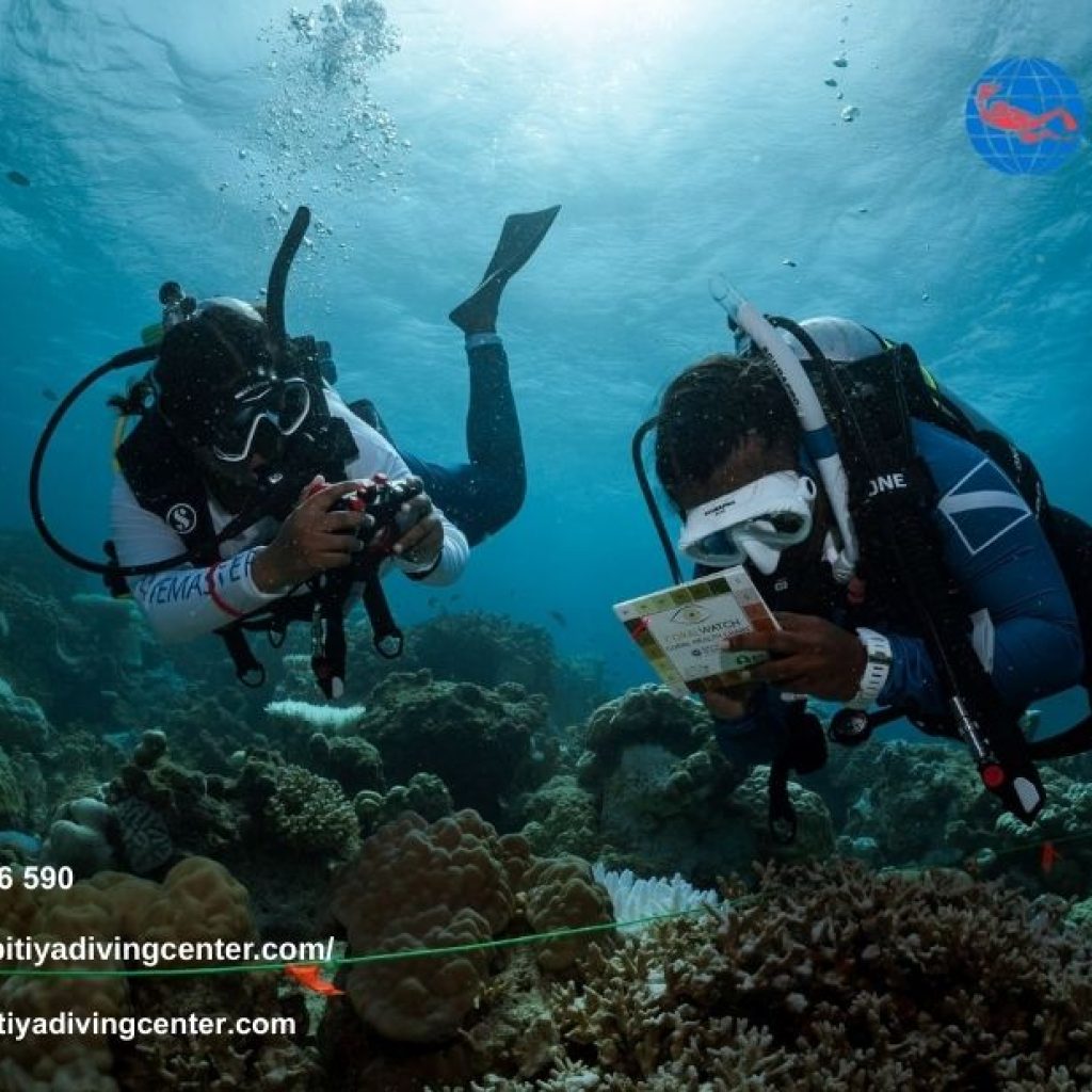 Diving Center Srilanka | Kalpitiyadivingcenter.com Diving Center Srilanka | Kalpitiyadivingcenter.com