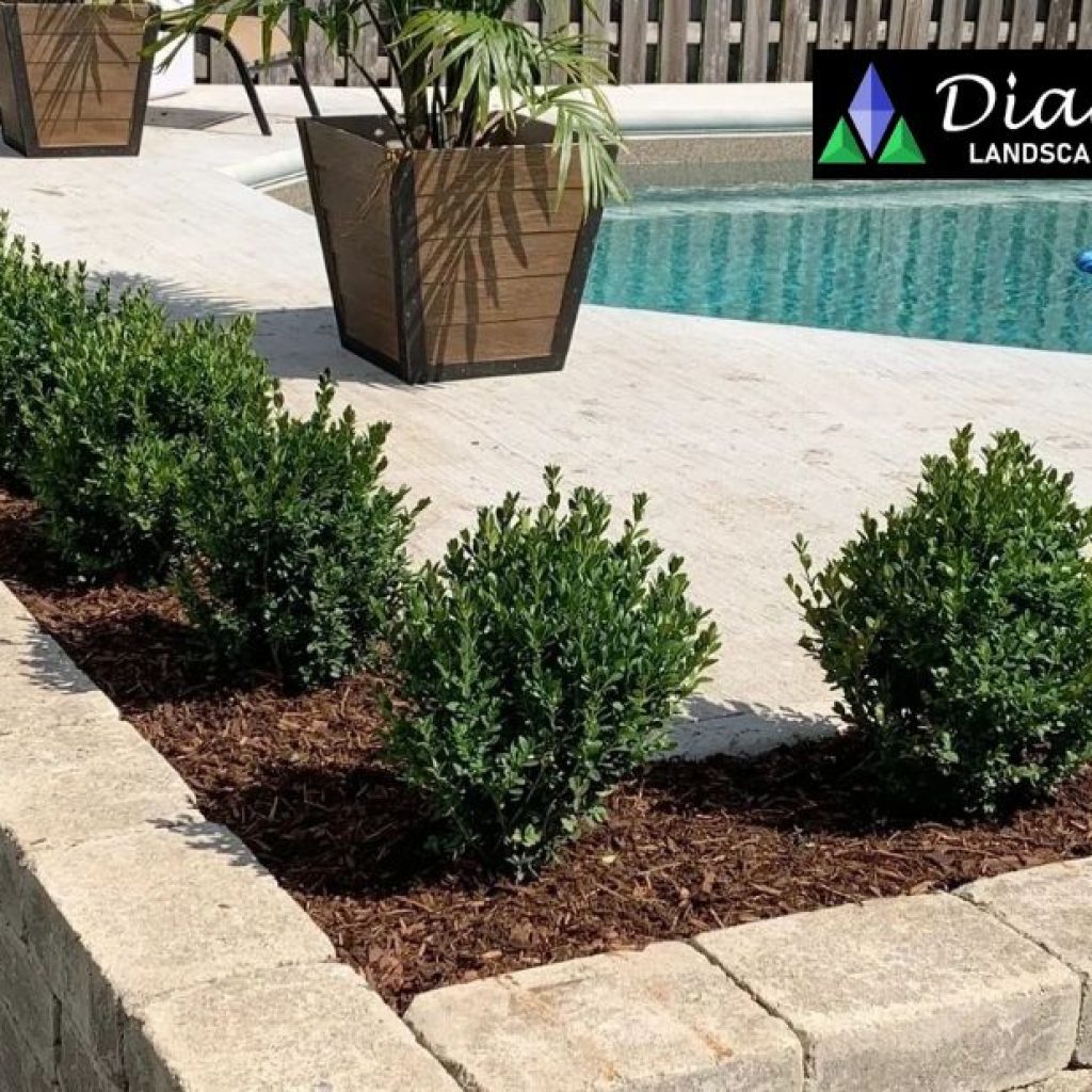 Top-quality Fencing Solutions for Cambridge Homes Top-quality Fencing Solutions for Cambridge Homes