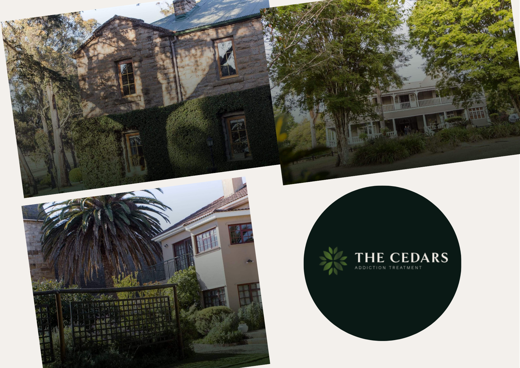 Choosing the Right Marketing Partner in South Africa