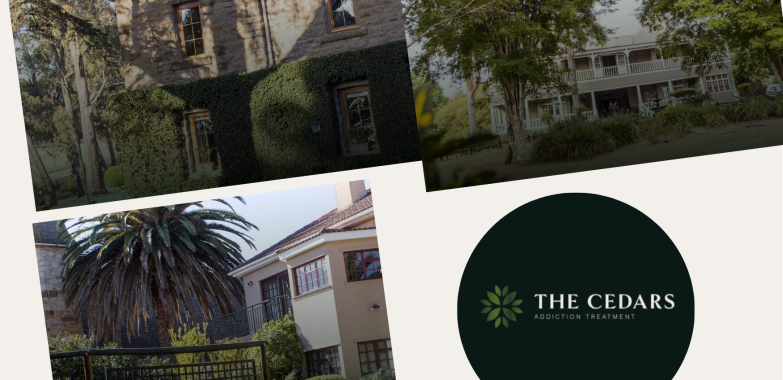 Choosing the Right Marketing Partner in South Africa